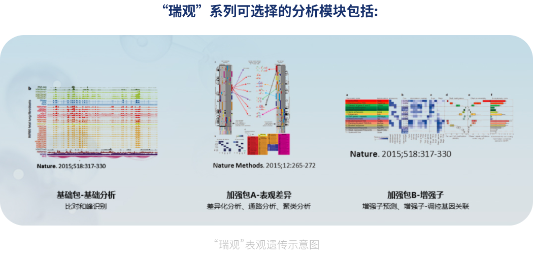 “瑞观”表观遗传分析服务(瑞观析)