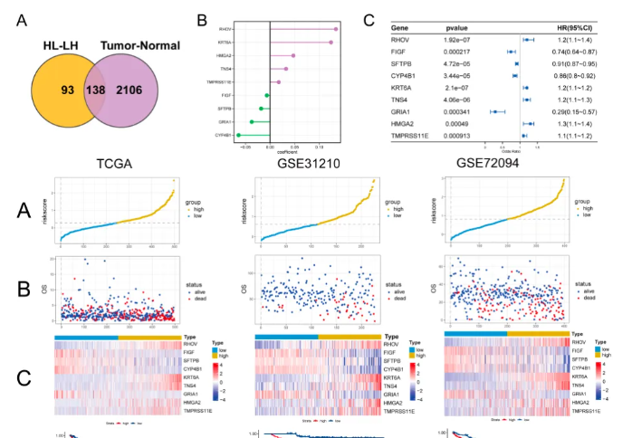 2025 ASCO即将开幕，星源未来多项肺癌研究成果抢先看