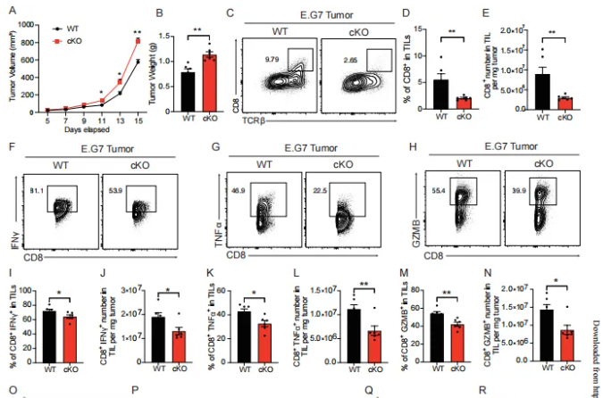 瑞普首篇墨卓单细胞平台合作文章发表